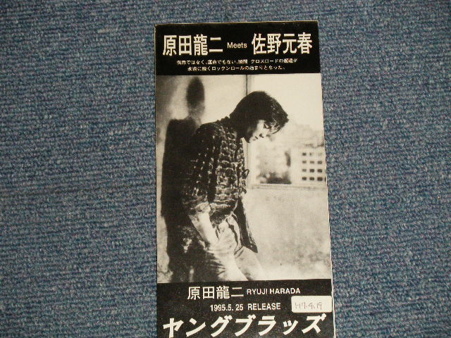 画像1: 原田龍二 MEETS 佐野元春 RYUJI HARADA meets MOTOHARU SANO - ヤングブラッズ YOUNGBLOODS (Ex/Ex) / 1995 JAPAN ORIGINAL "PROMO ONLY" Used 3" 8cm CD Single 
