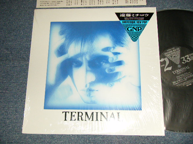 画像1: 遠藤ミチロウ MICHIRO ENDO (ザ・スターリン The STALIN) - TERMINAL  (MINT/MINT)  / 1988 JAPAN ORIGINAL Used LP 