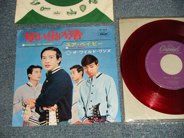 画像1: ザ・ワイルド・ワンズ THE WILD ONES - A) 想いでの渚  B)ユア・ベイビー YOUR BABY (Ex+/Ex++ Looks:MINT-) / 1966 JAPAN REISSUE "WHITE LABEL PROMO" ORIGINAL "RED WAX" Used 7" Single 