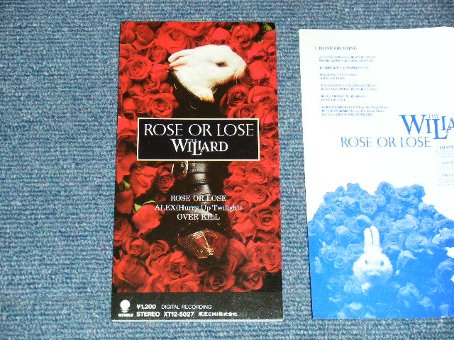 画像1: The WILLARD ウイラード - Rose of Lose  (With LYRIC SHEET INSERTS) (MINT-/MINT) / 1988 JAPAN ORIGINAL Used 3" 8cm CD Single 
