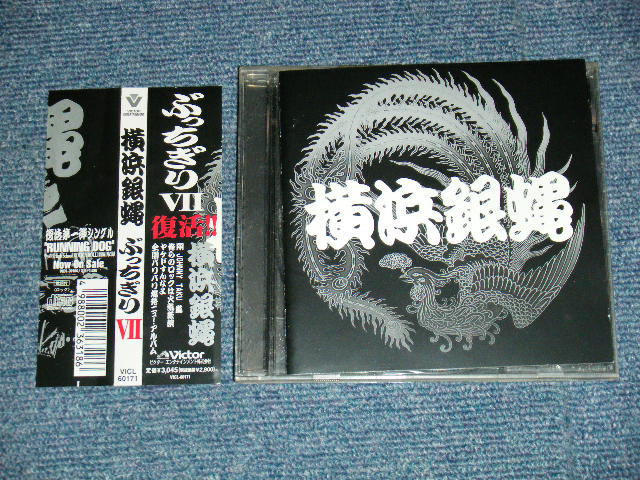 画像1: 横浜銀蝿 TYOKOHAMA GINBAE - ぶっちぎりVII (MINT-/MINT) I / 1998 JAPAN ORIGINAL "PROMO" Used CD with OBI