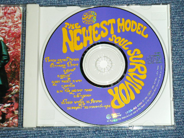 画像: ニューエスト・モデル THE NEWEST MODEL - SOUL SURVIVOR  / 1989 JAPAN ORIGINAL PROMO Used CD 