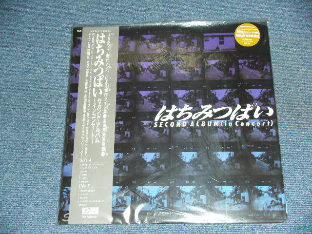 画像1: 蜂蜜ぱい はちみつぱい　HACHIMITSU HONEY PIE - セカンド・アルバム　〜イン・コンサート〜  SECOND ALBUM ( in CONCERT ) / 2001 Released Version JAPAN ORIGINAL 180 Glam Heavy Weight Original Brand New LP With OBI 