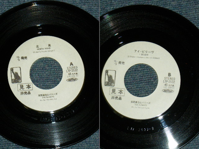 画像: 荻野達也とバニーズ　OGINO TATSUYA & BUNNIES - 北風　NORTH WIND / 1971 JAPAN ORIGINAL White Label Promo 7" シングル