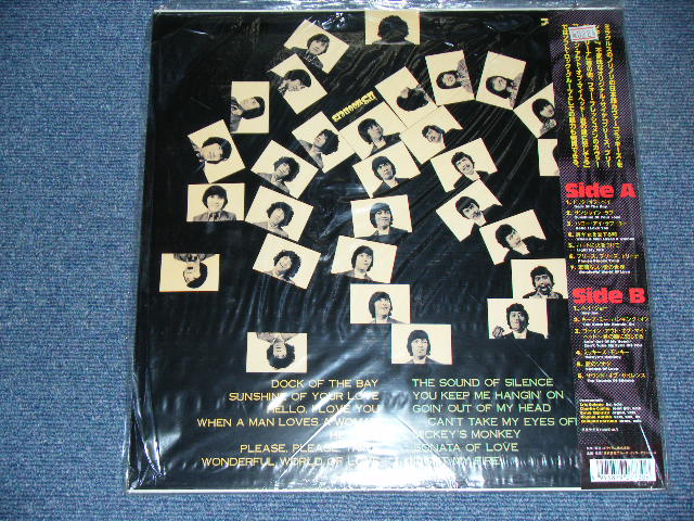 画像: デ・スーナーズ D'SWOONER'S 　PORTRAIT OF D'SWOONER'S　-　ポートレイト・オブ・デ・スーナーズ　D'SWOONERS　 / 1990's Released Version JAPAN Reissue Brand New  LP With OBI 